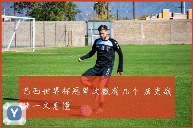 巴西世界杯冠军次数有几个 历史战绩一文看懂
