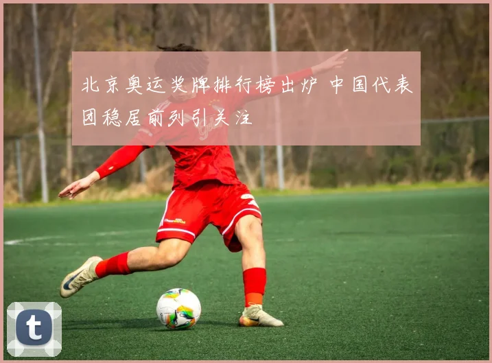 北京奥运奖牌排行榜出炉 中国代表团稳居前列引关注