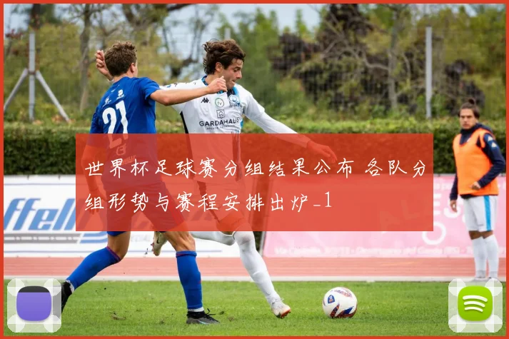 世界杯足球赛分组结果公布 各队分组形势与赛程安排出炉_1