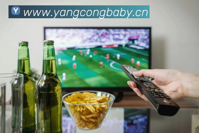 多媒体互动体验